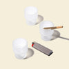 NWTN Home Flower Pots Glass Ashtray Set - Insomnia Smoke