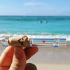 Canada Puffin Virmaliste Maitseproovipiip