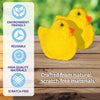 Scrubber Duckys Replacement Scrubbers 5-Pack